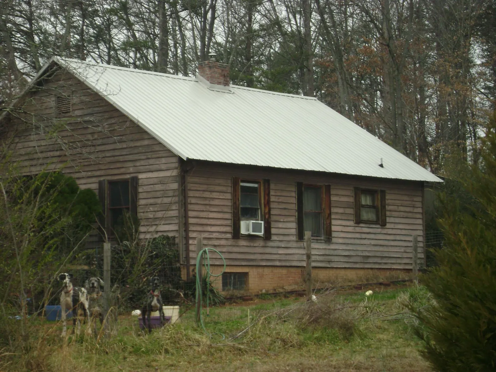 White metal roof on an old wood sided farmhouse, from a Asphalt Shingle Roof Repair job in Easton